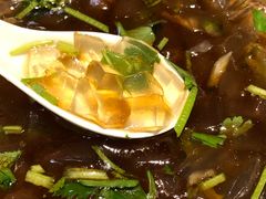 -鲁前海沿儿