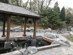 -和园景逸大酒店朗月汤泉