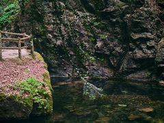 -牛背梁国家森林公园