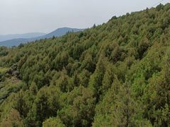 -抱犊崮国家森林公园