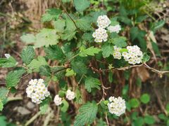 -北京上方山国家森林公园