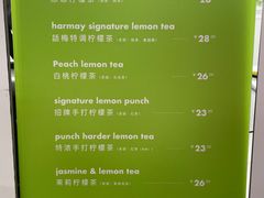-introlemons(北京西单更新场店)