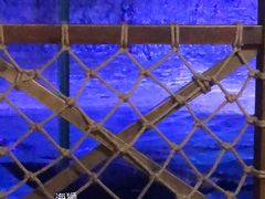 -海合安青岛极地海洋公园