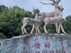 -长沙黑麋峰国家森林公园