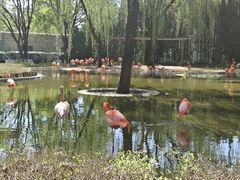 -石家庄市动物园