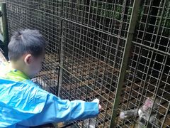 -武陵山森林公园