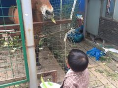 -白塘生态植物园