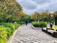 -上海大学(宝山校区)