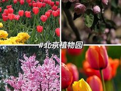 -国家植物园
