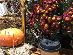 -1/4 ONE QUARTER COFFEE LAB(朝阳大悦城店)