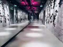 -威尔仕健身(丁香国际店)