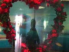 -北戴河圣蓝海洋公园