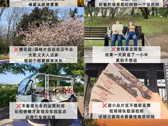 -陈记菜馆·非遗淮扬菜(东关街教场店)