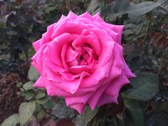 -人民公园(罗湖区)