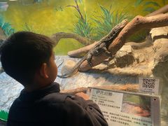 -上海大自然野生昆虫馆(东方明珠·爬宠昆虫探索中心)