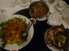 -食为先(Shark Fin)