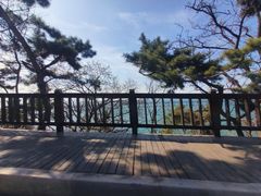 -傅家庄公园