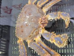-無招牌海鮮(芽笼店)