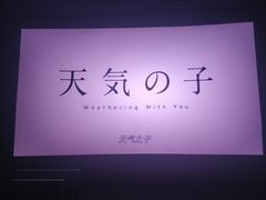 -华谊兄弟影院(IMAX洋桥店)