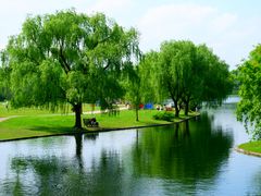 -上海共青森林公园