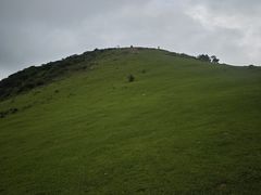 -大姆山草场