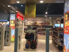 -谢列梅捷沃国际机场
