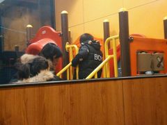 -肯德基(南昌路大润发店)