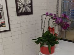 -泰康拜博口腔(世博园乐尔店)