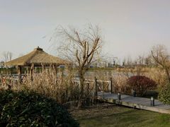 -苏州湾王焰温泉度假酒店