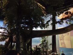 -浙江自然博物院(杭州馆)