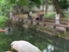 -西园寺