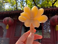 -潭柘寺景区