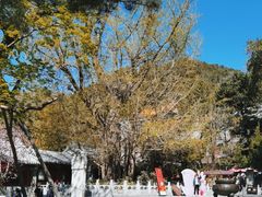 -潭柘寺景区