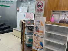 -爱侣宠医·鹦鹉专科·小型哺乳类·异宠专科(灵石路店)