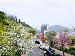 -小南山公园