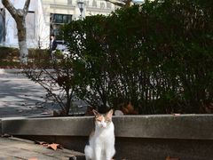 -东华大学(松江校区)