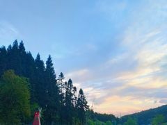 -武陵山森林公园