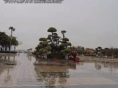 -集美学村
