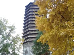 -玲珑塔公园