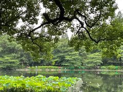 -杭州香格里拉·香宫中餐厅