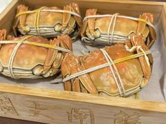 -黄记大闸蟹专卖店·活蟹·醉蟹