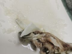 -源港渔村-中山脆肉鲩(博罗店)