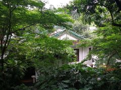 -广州兰圃