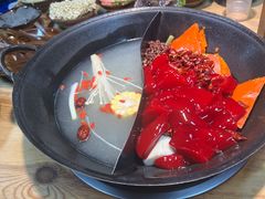 -阳阳老火锅(小南门店)
