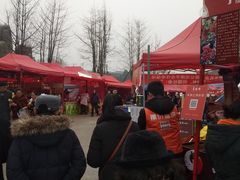 -秀丽东方