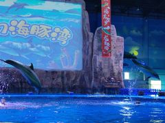 -华夏文旅海洋公园