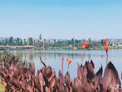 -枫香湖儿童公园