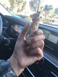 -缪斯美甲美睫