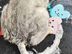 -喵汪宠物生活馆(涞坊路店)