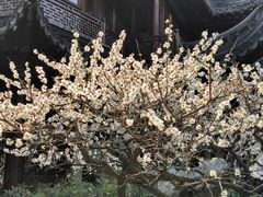 -豫园